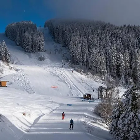 Le Relai S31 - Grand Et Lumineux Avec Coin Montagne 4-6 Pers, équipé, Avec Wifi, à 30m Des Pistes Avec Un Grand Balcon, Draps Non Compris * Saint-Jean-dʼAulps